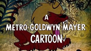 TOM AND JERRY - S1960E11 - Sorry Safari