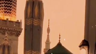 Are we sinners, or should Muhammad take care of us in his lotus flower?