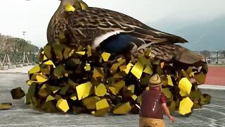 Unsealed duck gold statue3D Special Effects 3D Animation subscribe