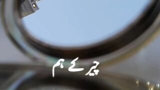 Best Islamic Status
