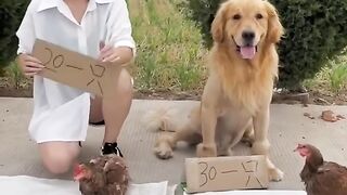 Funny video