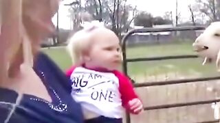 little kid copying the sound of kid goat