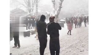 Murre snowfall