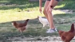 funniest animals_funny video