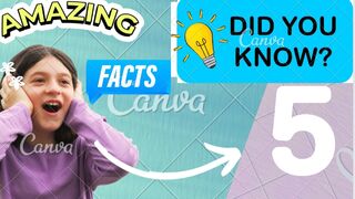 Facttex
