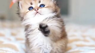 wow so cute