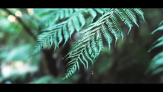 Waterfall _ Hiking _ Nature _ Cinematic Short Film
