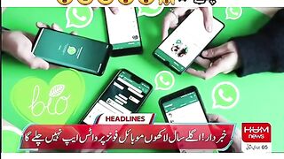 watssap news