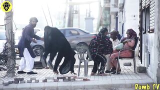 Ninja Wife - Ninja Begam