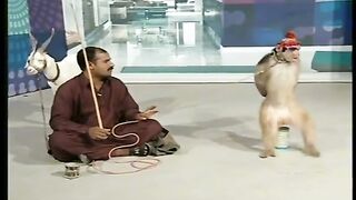 Funny video