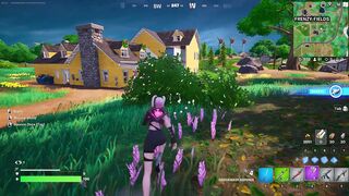 Fortnite frenzy fields dual kill with hammer