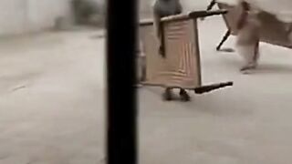 Funny video