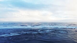 Sea!Ocean!