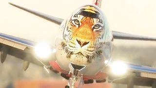 Tigers airline