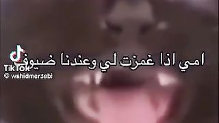Jajaja