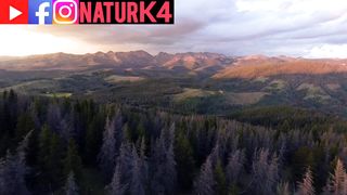 pretty nature
