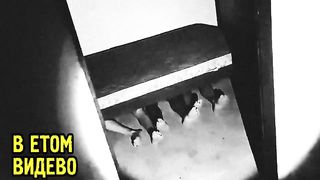 МОНСТР ПЯТРОВИЧЬ и ДРУГАЯ ТУФТА СНЯТАЯ НА КАМЕРУ