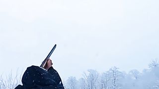 Nice shot! Snowny day