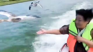 Geese flying along boat, wonderful. ?? ????