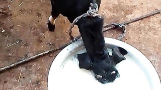 She didn't want her milk to go to anyone else