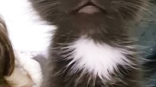 Comedy remix