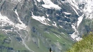 an eagle pounces on a mountain goat