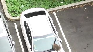 Parking lot