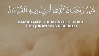 Saqi videos
