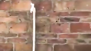 Crows are extremely clever animals, with intelligence and ingenuity that rivals that of primates. Here's a nice example...