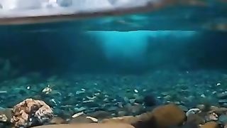 La nature