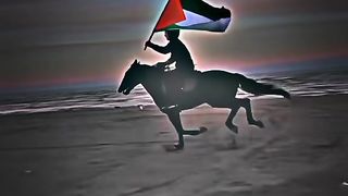 Freee Flasteen