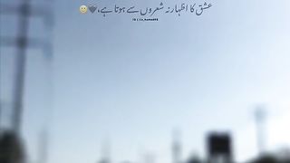 ہم نہ باتوں کی حد تک عاشق رہ گئے ہیں