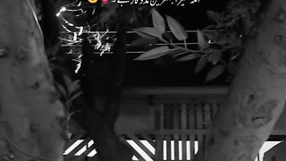 Myry Liay myra Allah Hi Kafii hy