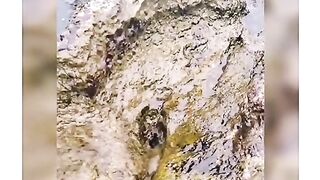 mountine water Oil