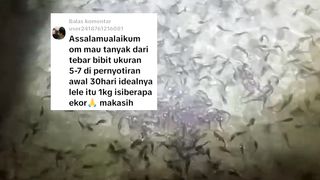 Khusus PEMULA - Jangan anggap mudah, jangan terapkan TARGET, temukan ALURnya dulu