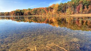 Catching autumn roach