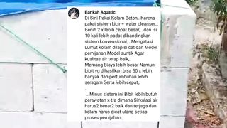 Lele hasil panen dikolam MEWAH dengan kolam SEDERHANA harganya sama, kadang naik kadang turun