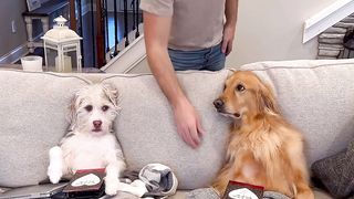 Valentine’s Day sabotage!