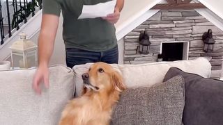 Teddy has the worst business ideas.