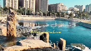 الكلب اللي امبارح عضك