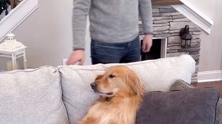 I thought I caught my dog! 
