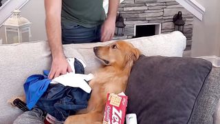 My dog ruined my clothes!