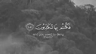 القارئ ياسر الدوسري  II أَلَمْ تَكُنْ آيَاتِي تُتْلَىٰ عَلَيْكُمْ