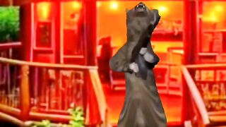 Watch how cats are afraid of gunfire