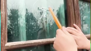Car Polishing