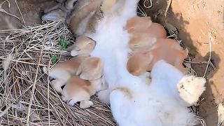 This is a mother's giving