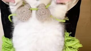 Lets have a milk????