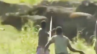 Tribus africaines chassant les animaux sauvages.