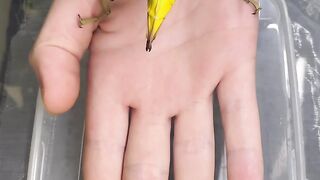 Paper Magic: Watch as Sheets Transform into Insects with a Touch!