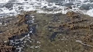 سبحانك يا الله